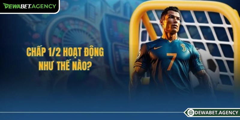 Giới thiệu về Kèo 1/2 Dewabet